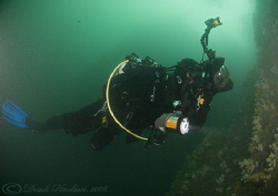 Mr T. Ex WC... Farne islands. D200, 10.5m. by Derek Haslam 